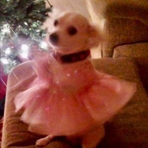 Meet your Posher, Song ja